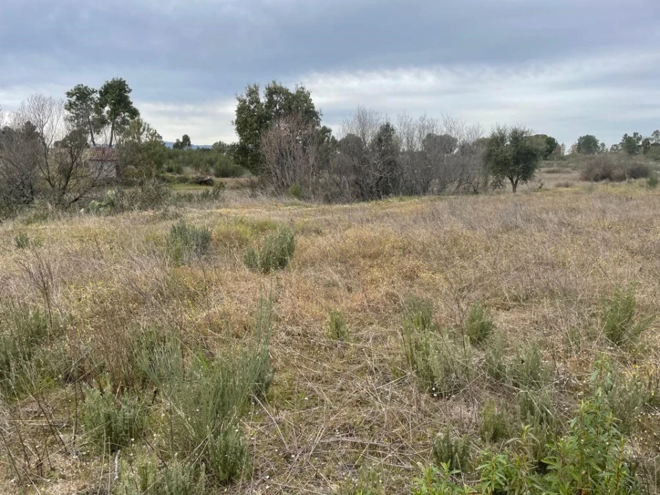 Quinta T1 para Venda em Orca Foto 29