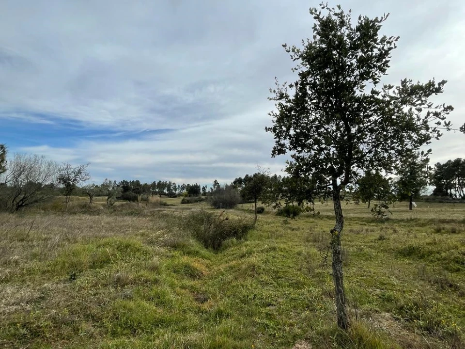 Quinta T1 para Venda em Orca Foto 9