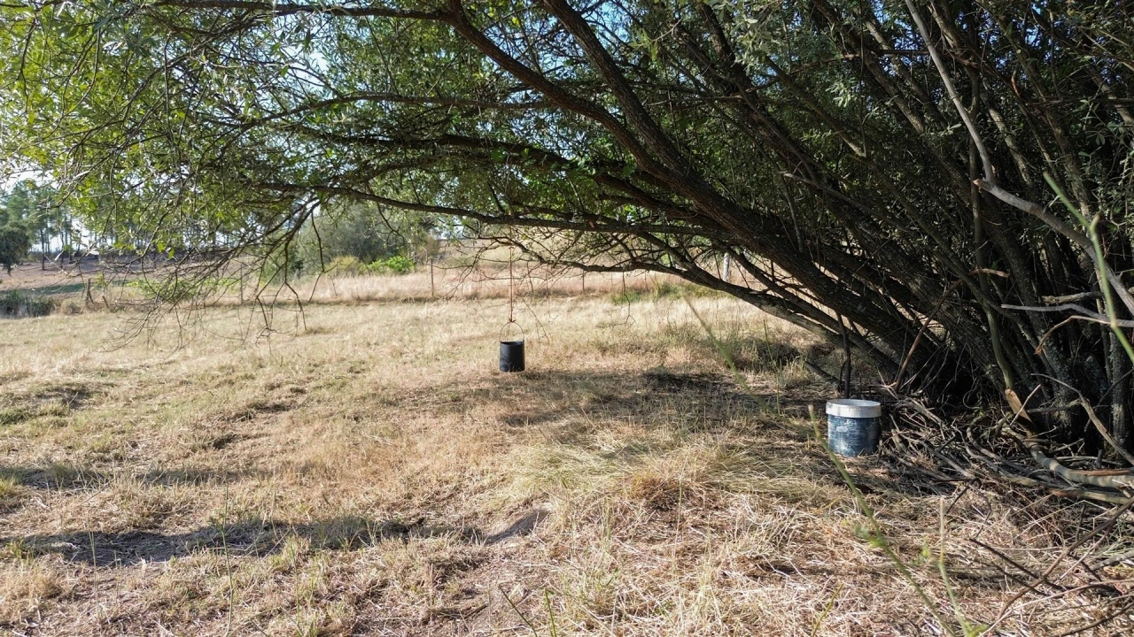 Quinta T1 para Venda em Orca Foto 52