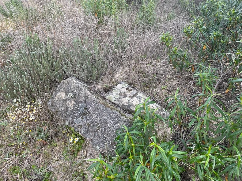 Quinta T1 para Venda em Orca Foto 28