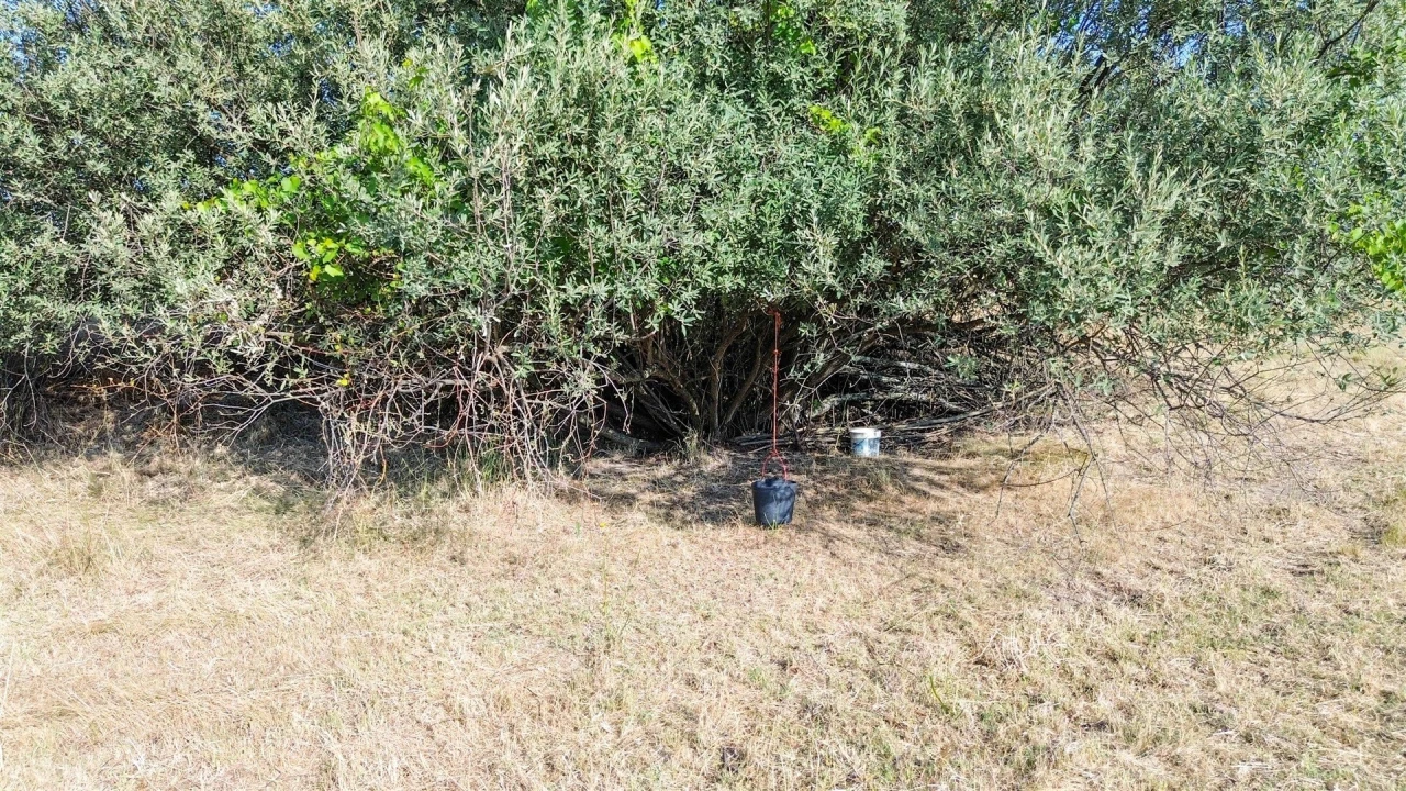 Quinta T1 para Venda em Orca Foto 40
