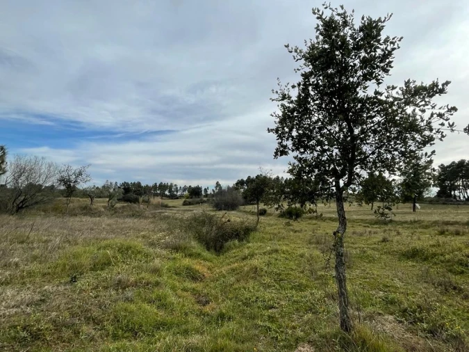 Quinta T1 para Venda em Orca Foto 4