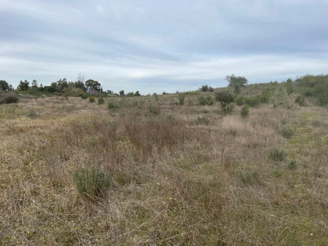 Quinta T1 para Venda em Orca Foto 26