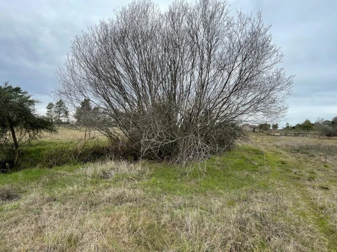 Quinta T1 para Venda em Orca Foto 48