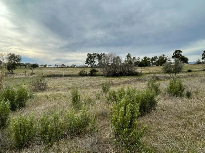 Quinta T1 para Venda em Orca Foto 34