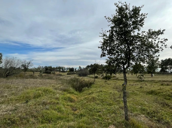 Quinta T1 para Venda em Orca Foto 9