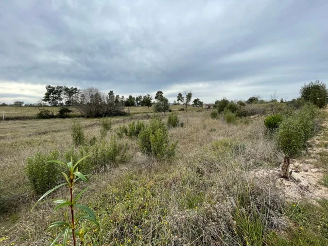 Quinta T1 para Venda em Orca Foto 36