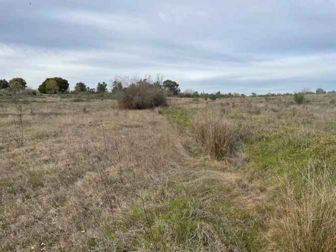 Quinta T1 para Venda em Orca Foto 19