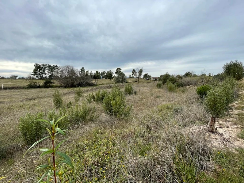 Quinta T1 para Venda em Orca Foto 36