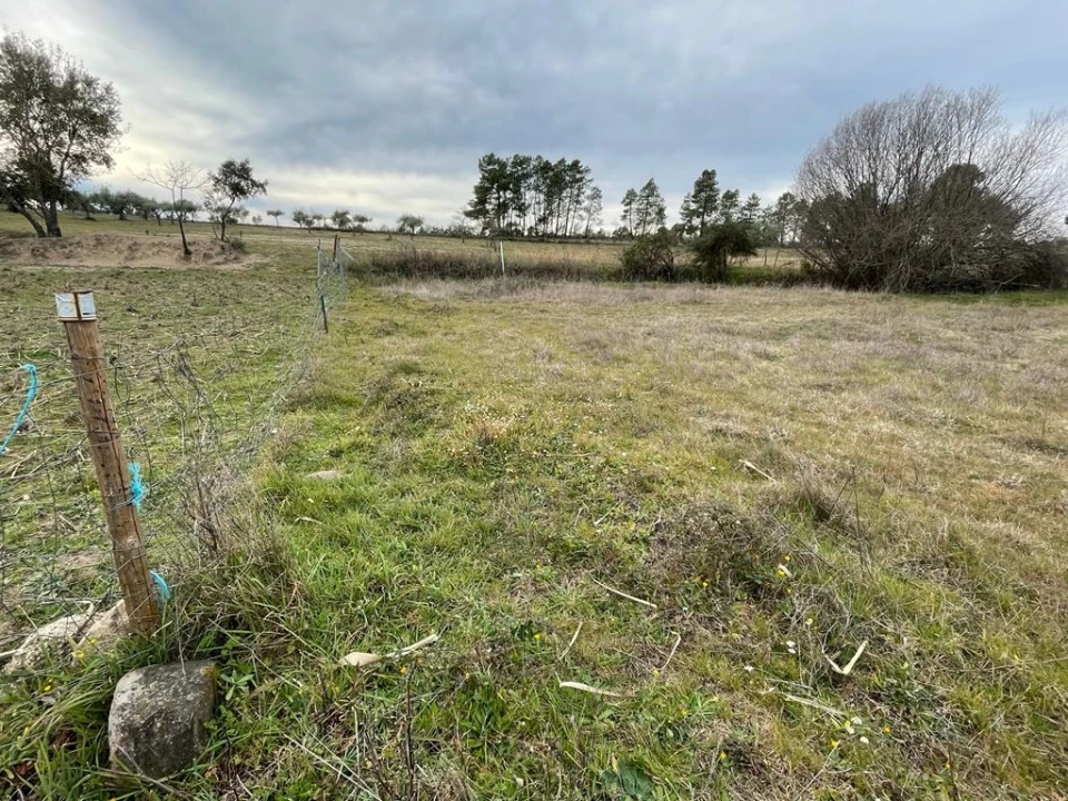 Quinta T1 para Venda em Orca Foto 43