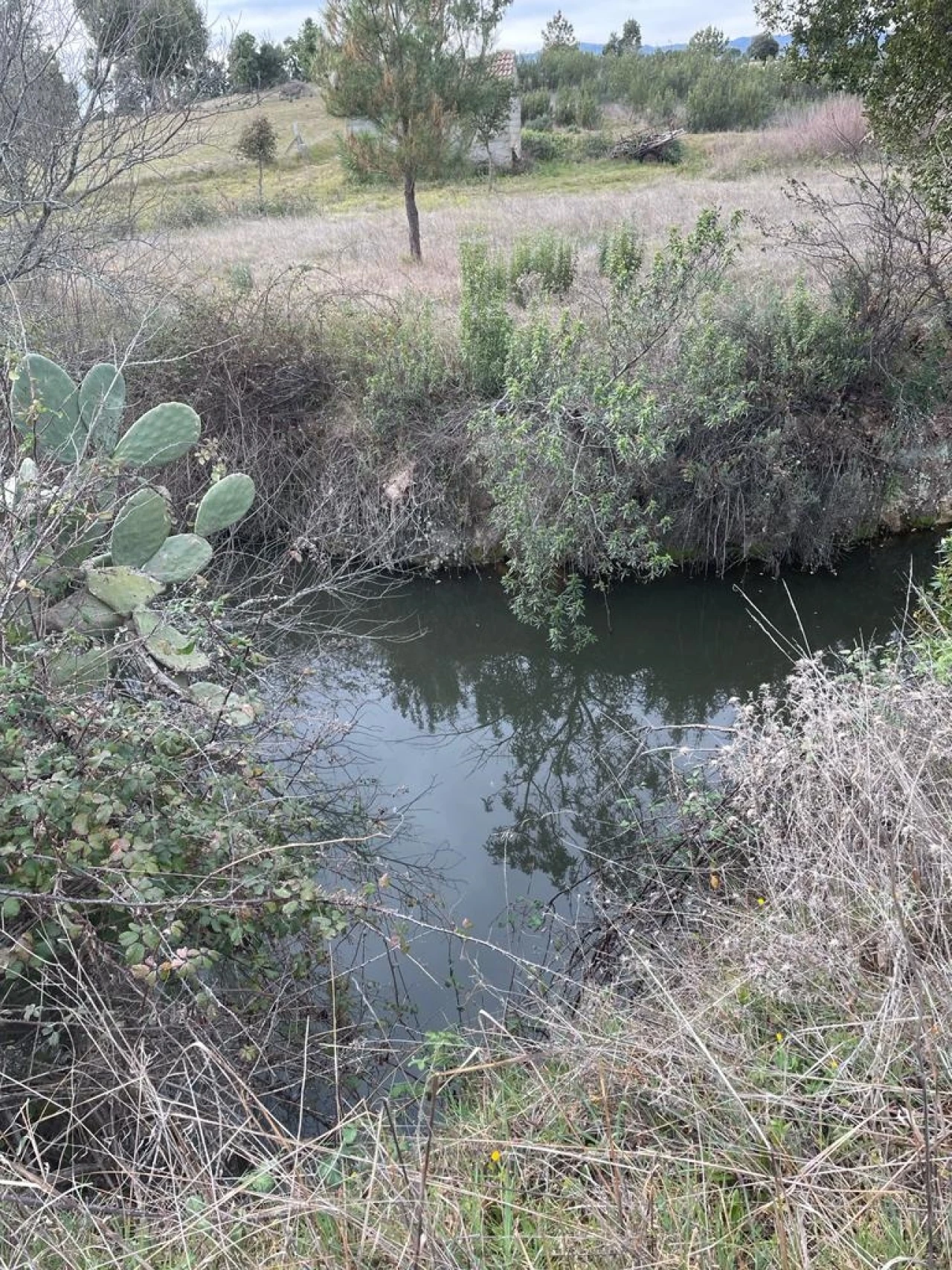 Quinta T1 para Venda em Orca Foto 1