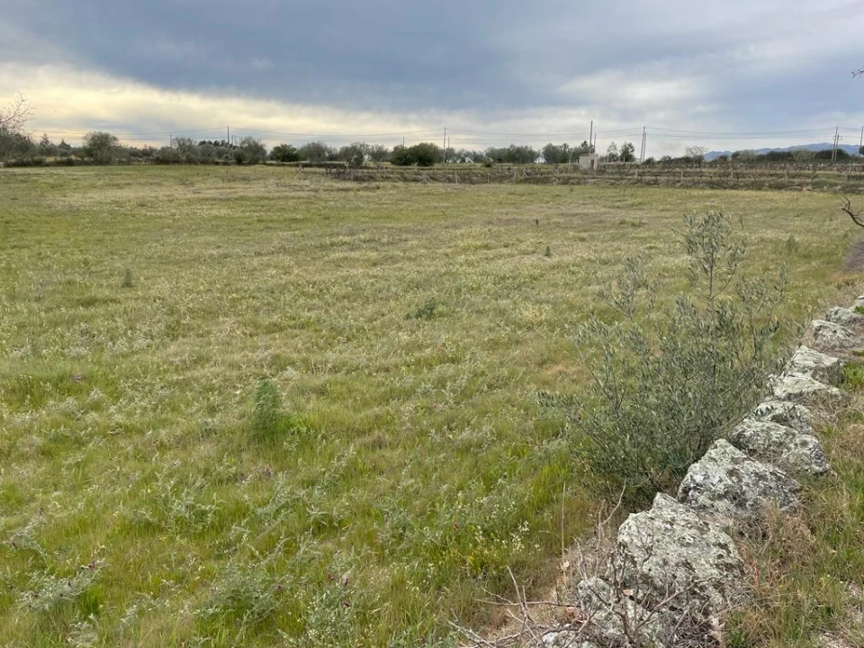 Quinta T2 para Venda em Orca Foto 59