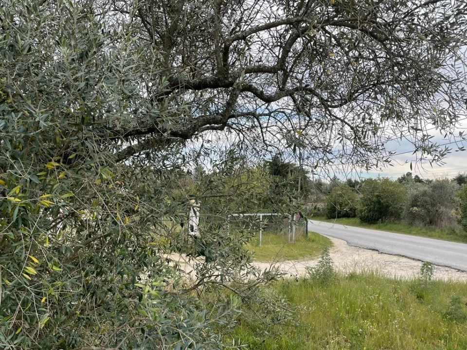 Quinta T2 para Venda em Orca Foto 45