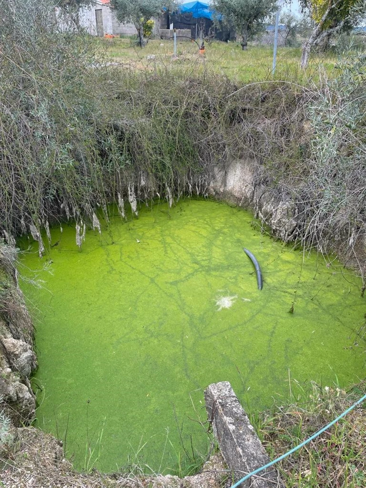 Quinta T2 para Venda em Orca Foto 54