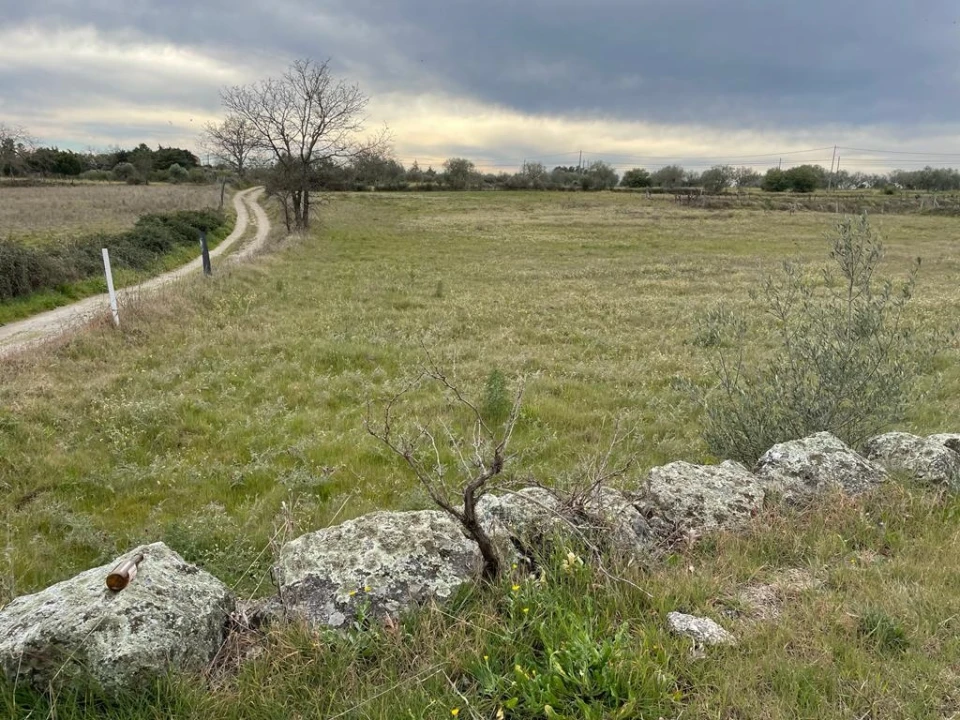 Quinta T2 para Venda em Orca Foto 61