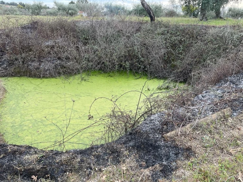 Quinta T2 para Venda em Orca Foto 26