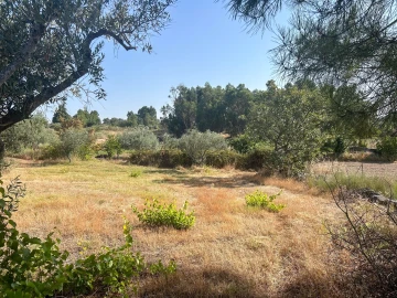Quinta T2 para Venda em Orca