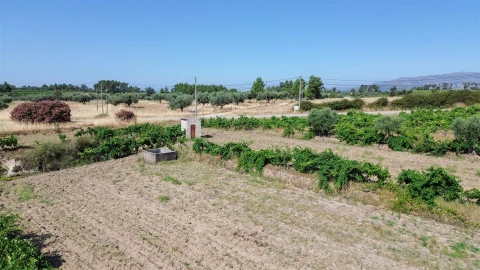 Quinta T2 para Venda em Orca