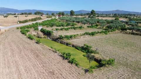 Quinta T2 para Venda em Orca