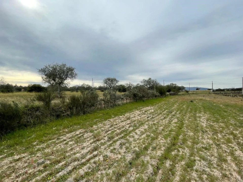 Quinta T2 para Venda em Orca Foto 36