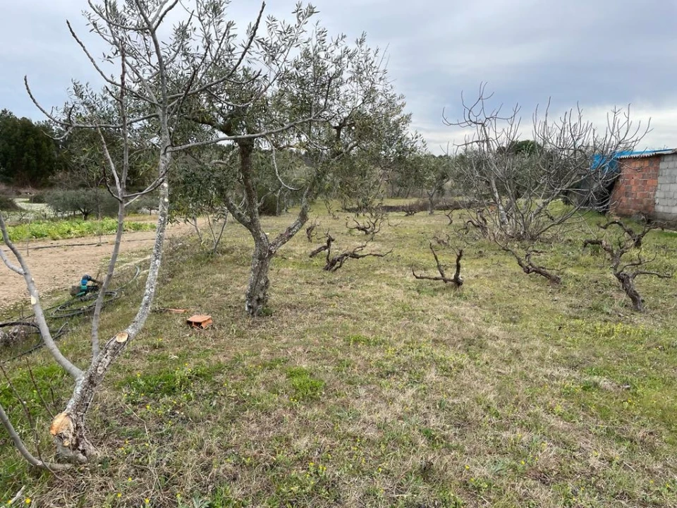 Quinta T2 para Venda em Orca Foto 20