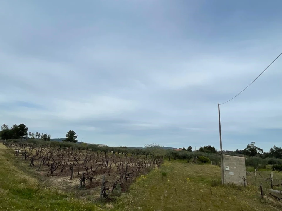 Quinta T2 para Venda em Orca Foto 48