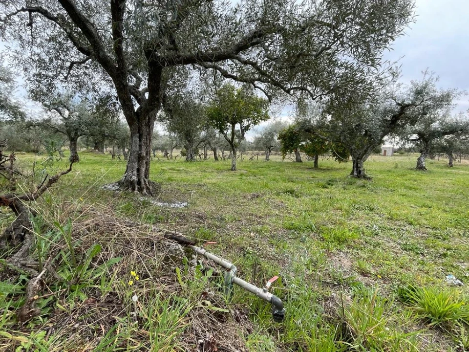 Quinta T2 para Venda em Orca Foto 4