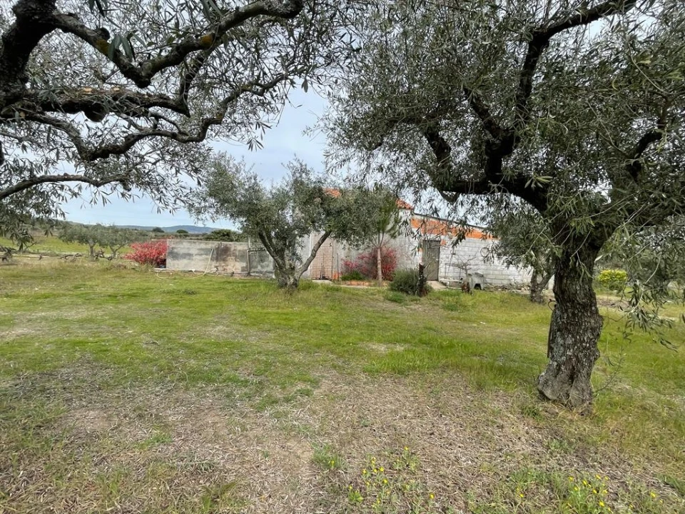 Quinta T2 para Venda em Orca Foto 94