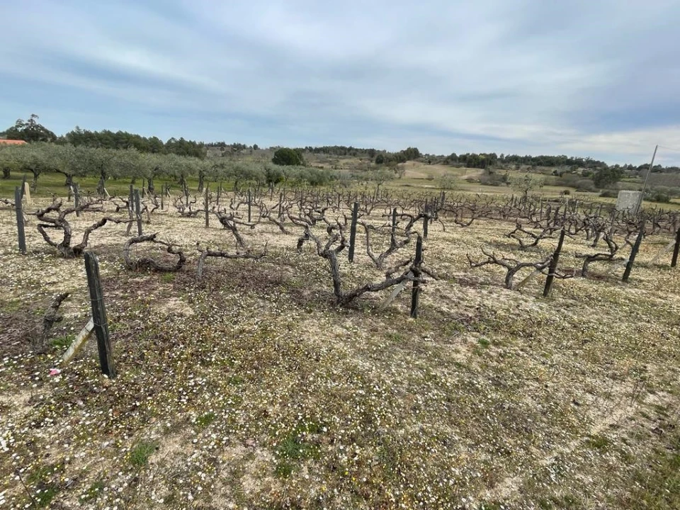 Quinta T2 para Venda em Orca Foto 73