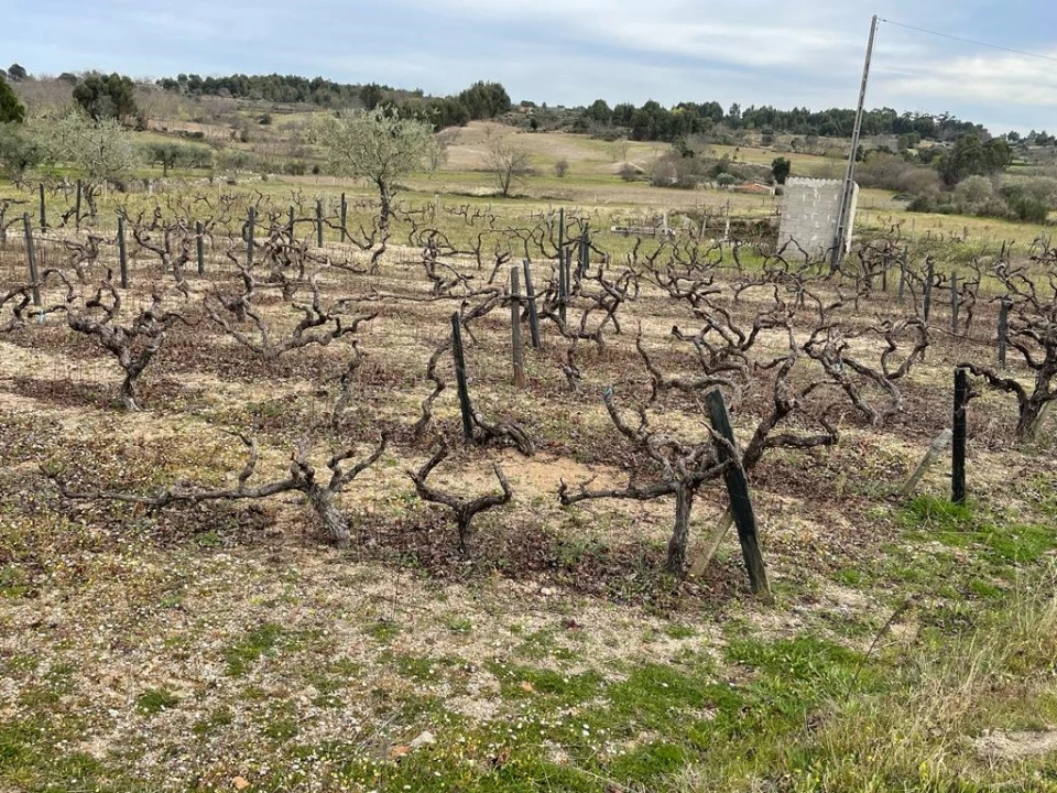 Quinta T2 para Venda em Orca Foto 74