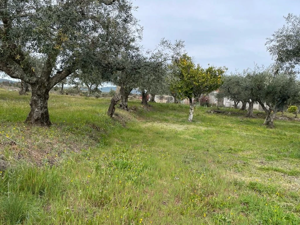 Quinta T2 para Venda em Orca Foto 87