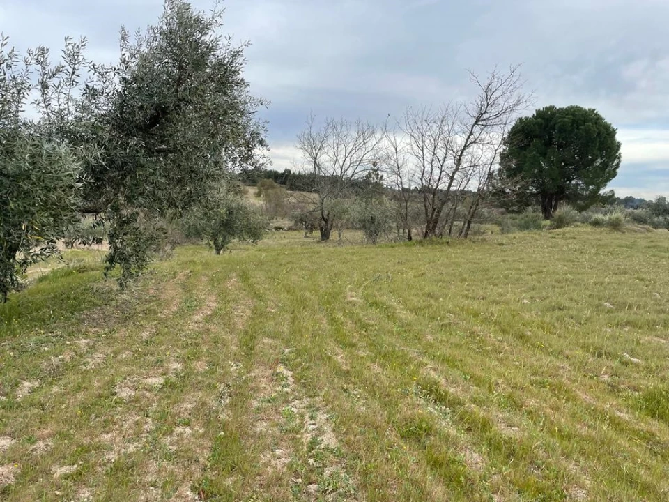 Quinta T2 para Venda em Orca Foto 28