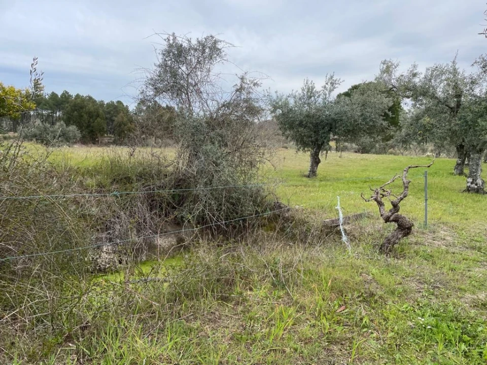 Quinta T2 para Venda em Orca Foto 67