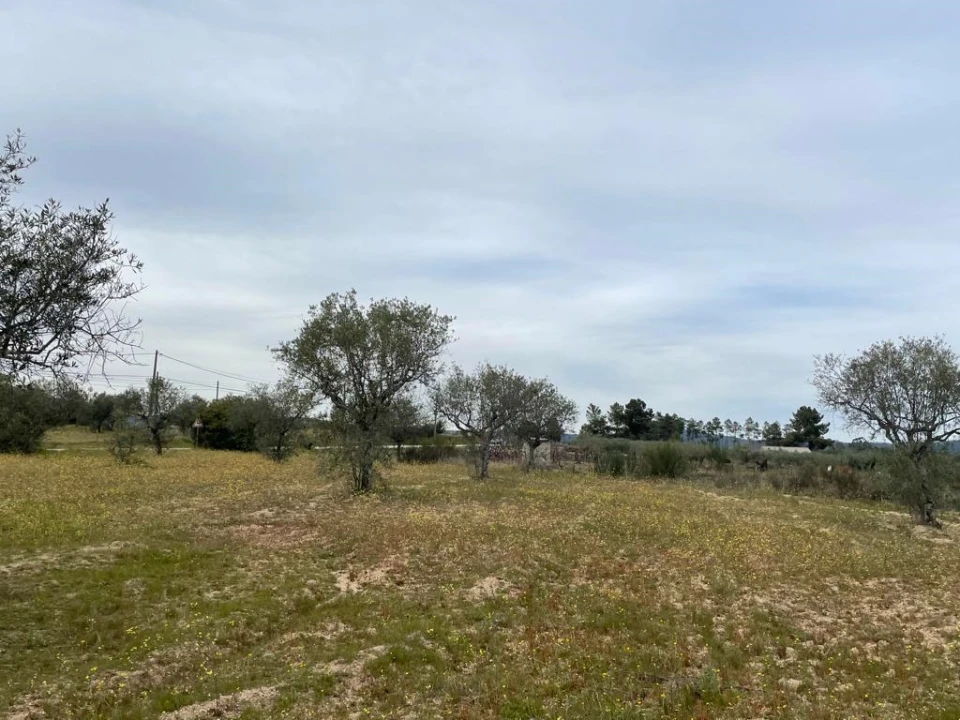 Quinta T2 para Venda em Orca Foto 42