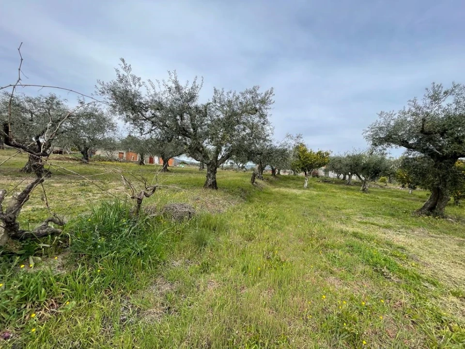 Quinta T2 para Venda em Orca Foto 85