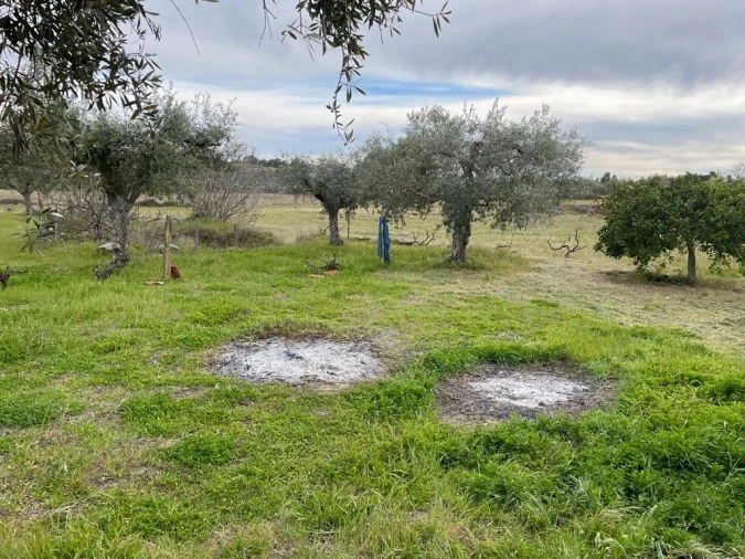 Quinta T2 para Venda em Orca Foto 68