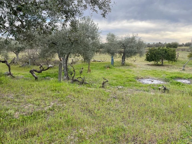 Quinta T2 para Venda em Orca Foto 65