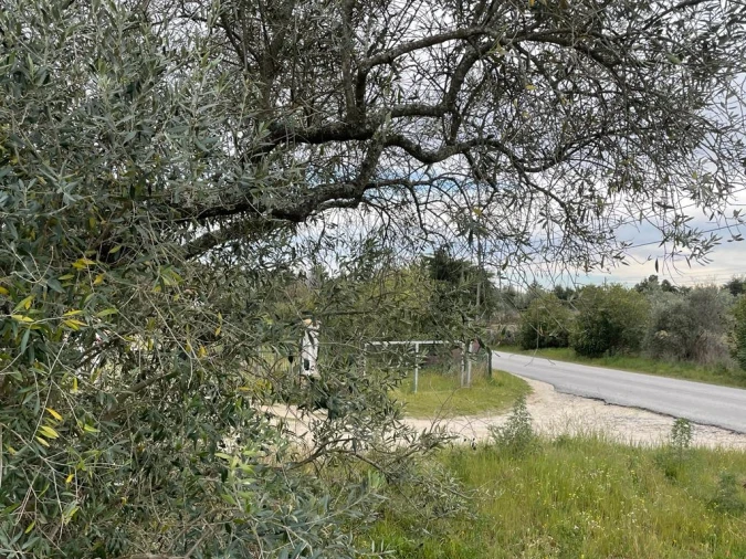 Quinta T2 para Venda em Orca Foto 45