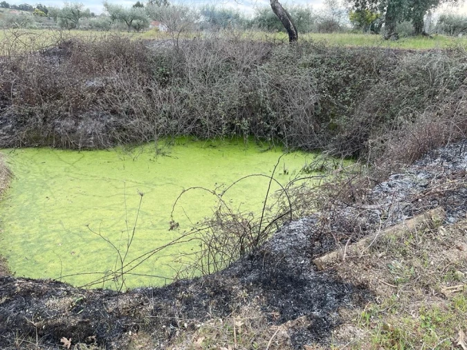 Quinta T2 para Venda em Orca Foto 26