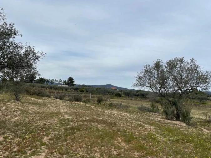 Quinta T2 para Venda em Orca Foto 41