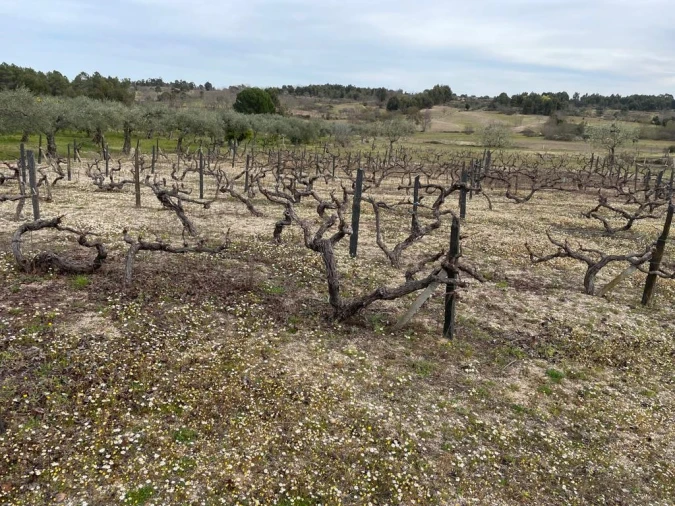 Quinta T2 para Venda em Orca Foto 86