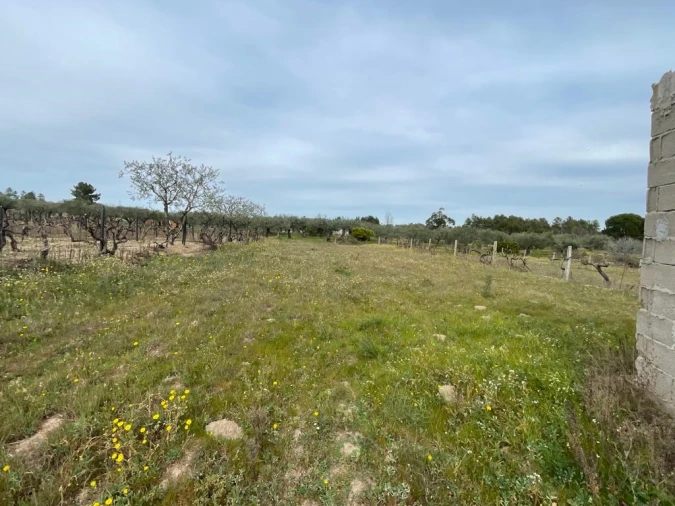 Quinta T2 para Venda em Orca Foto 79