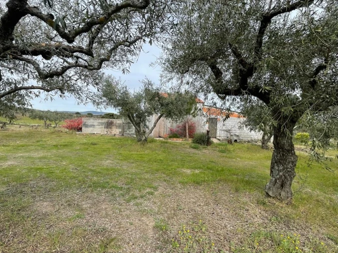 Quinta T2 para Venda em Orca Foto 94