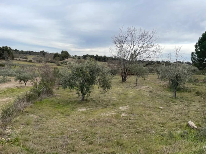 Quinta T2 para Venda em Orca Foto 29