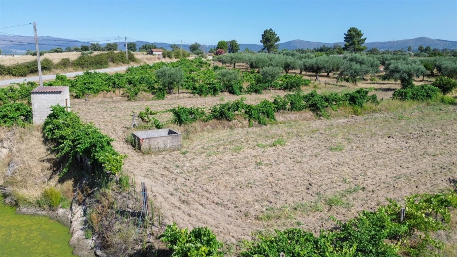 Quinta T2 para Venda em Orca Foto 3