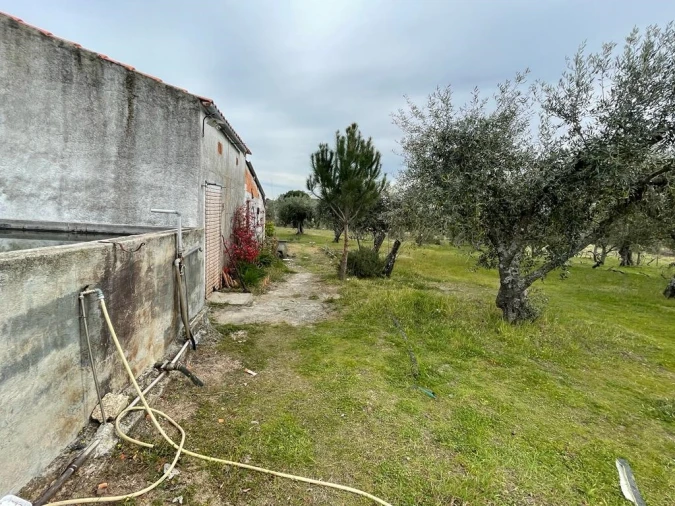 Quinta T2 para Venda em Orca Foto 8