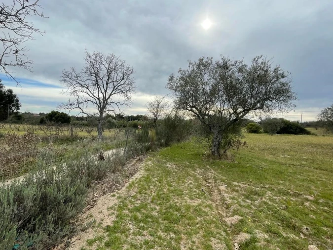 Quinta T2 para Venda em Orca Foto 38