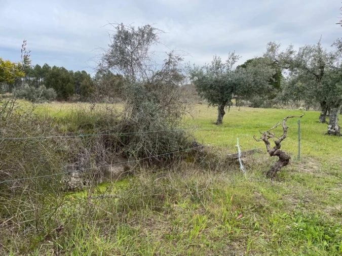 Quinta T2 para Venda em Orca Foto 67