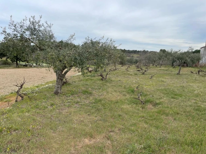 Quinta T2 para Venda em Orca Foto 18