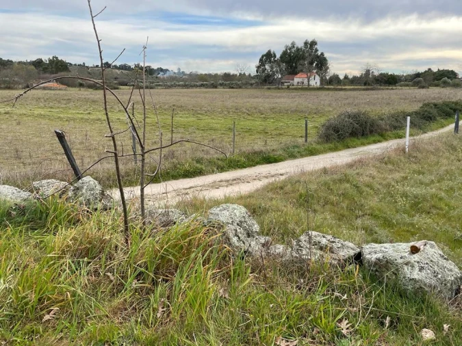 Quinta T2 para Venda em Orca Foto 60